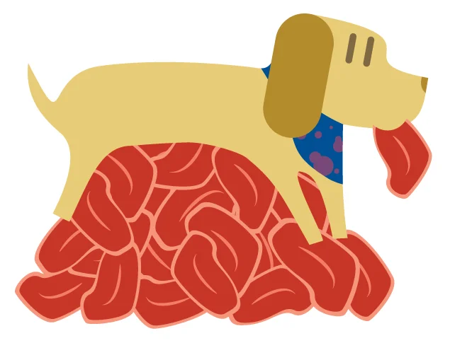 protein.jpg