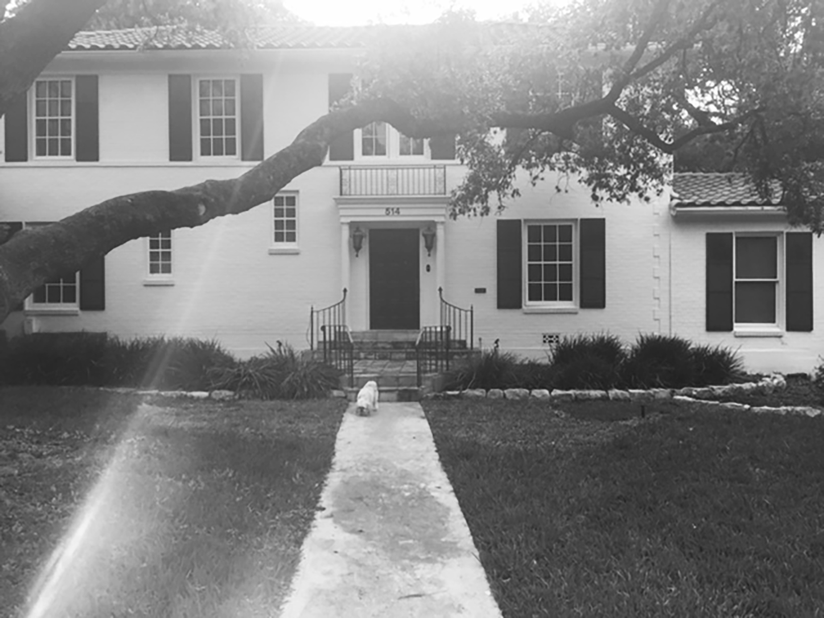 Smithdish-patterson-before.jpg