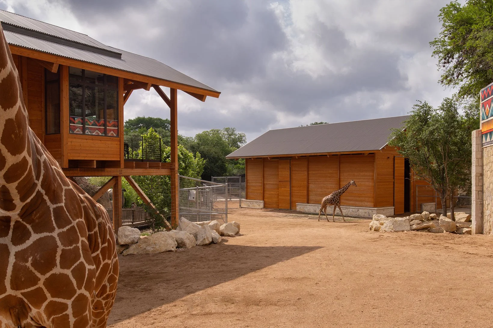 Smithdish-savanna-01.jpg
