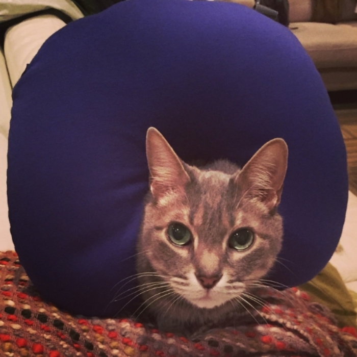 Pierre modeling the airplane pillow. As you can see, he was thrilled about this.