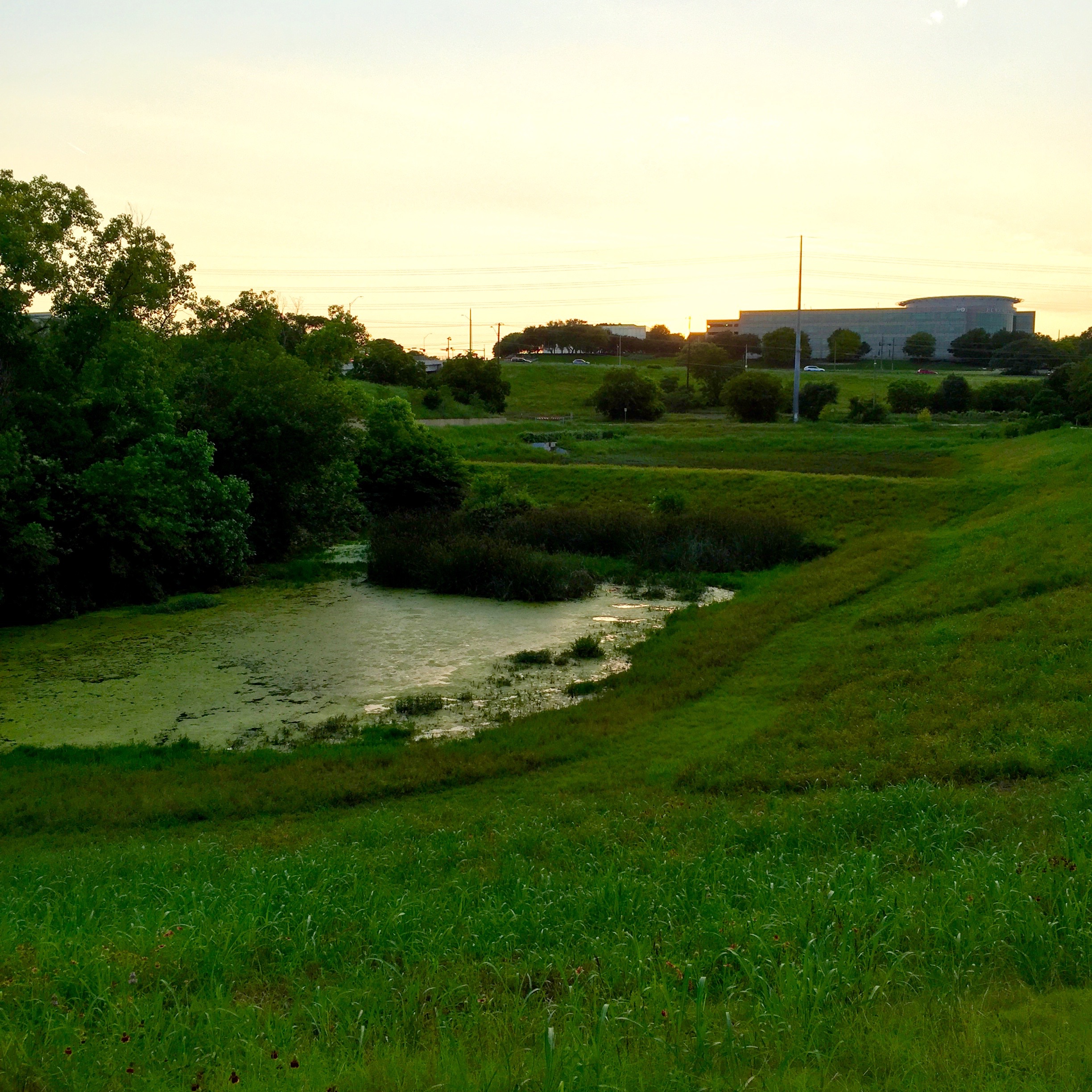 Sunset light can even make runoff control look sort of pretty.