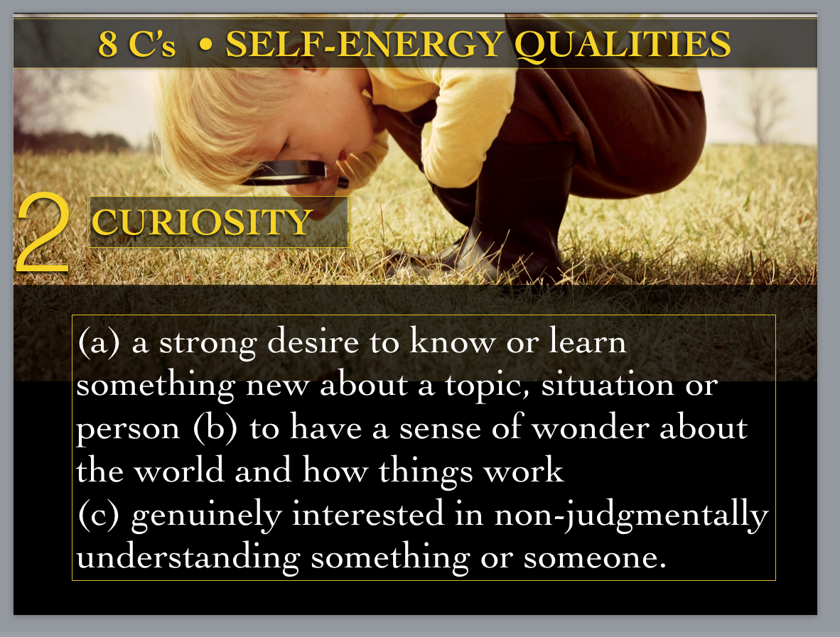 2..Curiosity.png