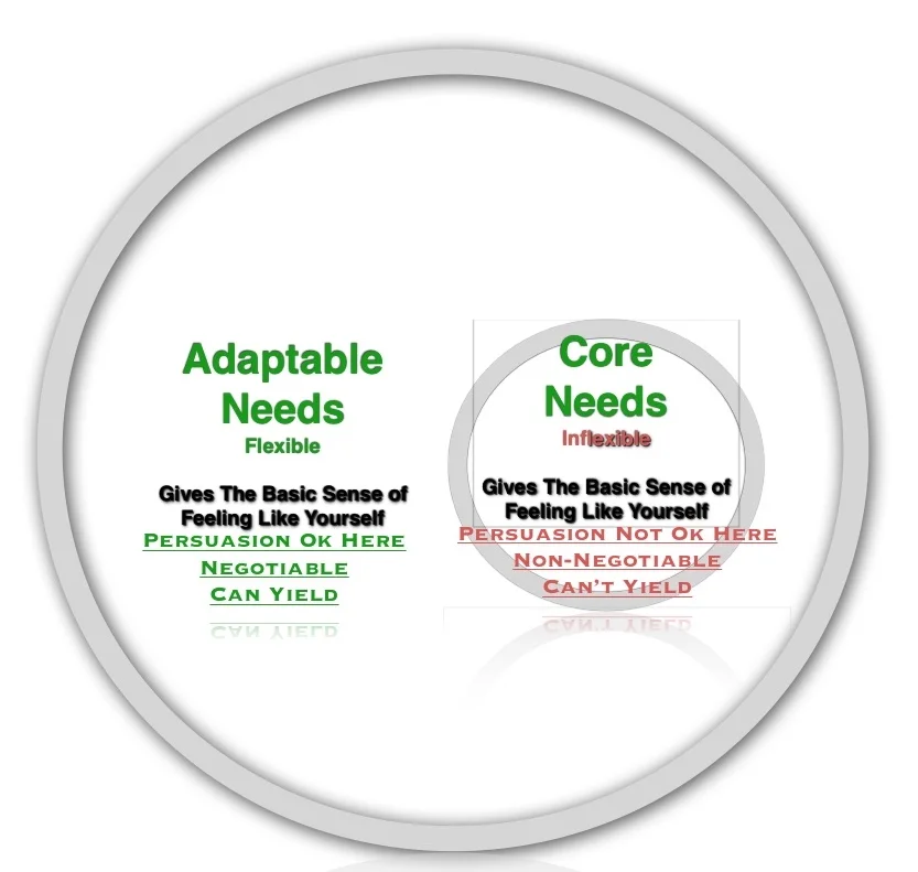 Core Needs Graphic.jpg