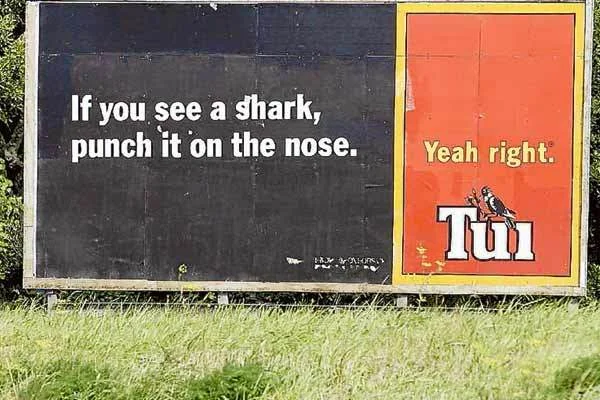 Tui Shark advice.jpg