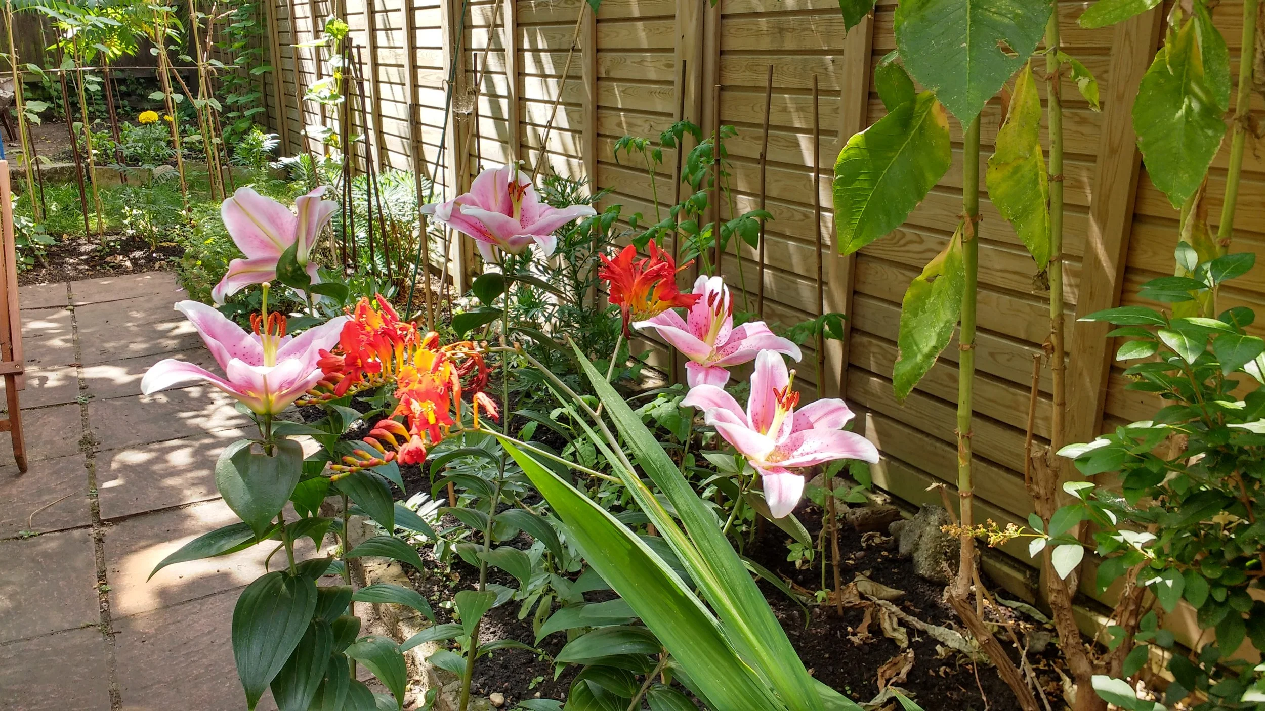 Not all gloom! Summer 2018