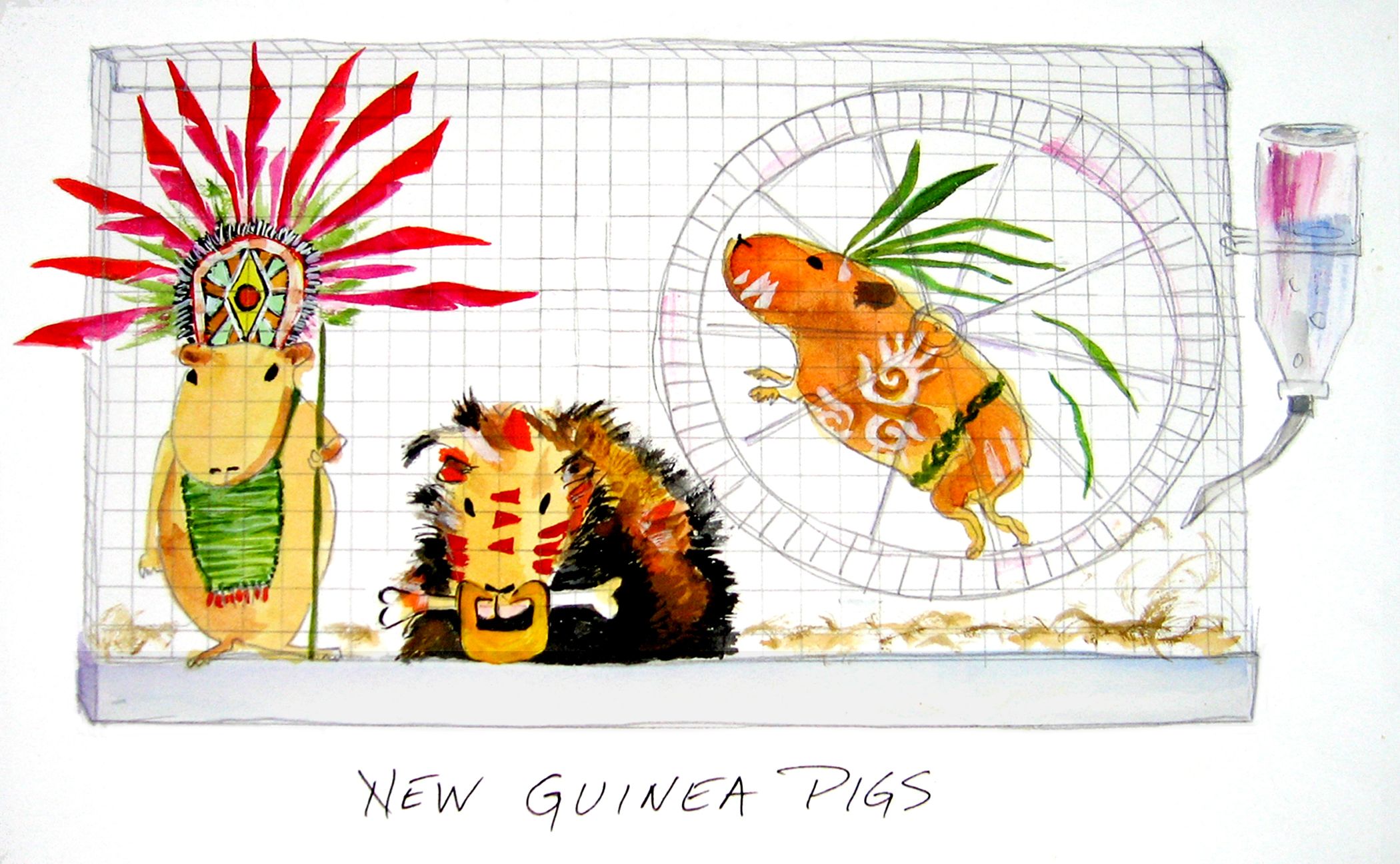 A23 New Guinea Pigs copy.jpg