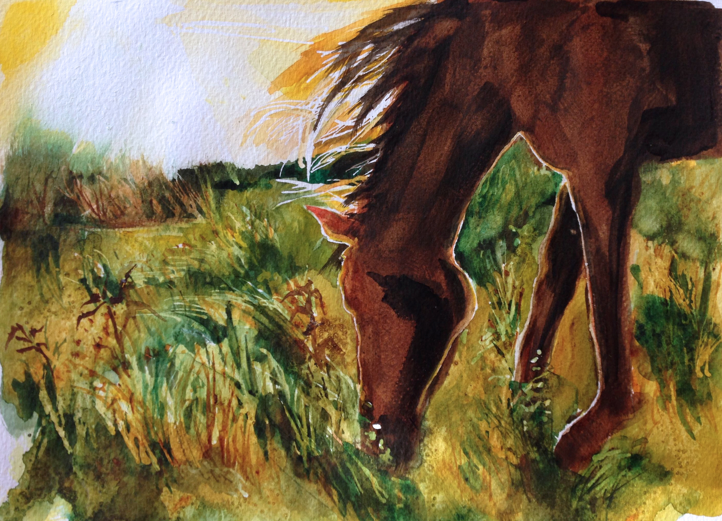 DFiedler_HorseInMeadowLight_crop.jpg