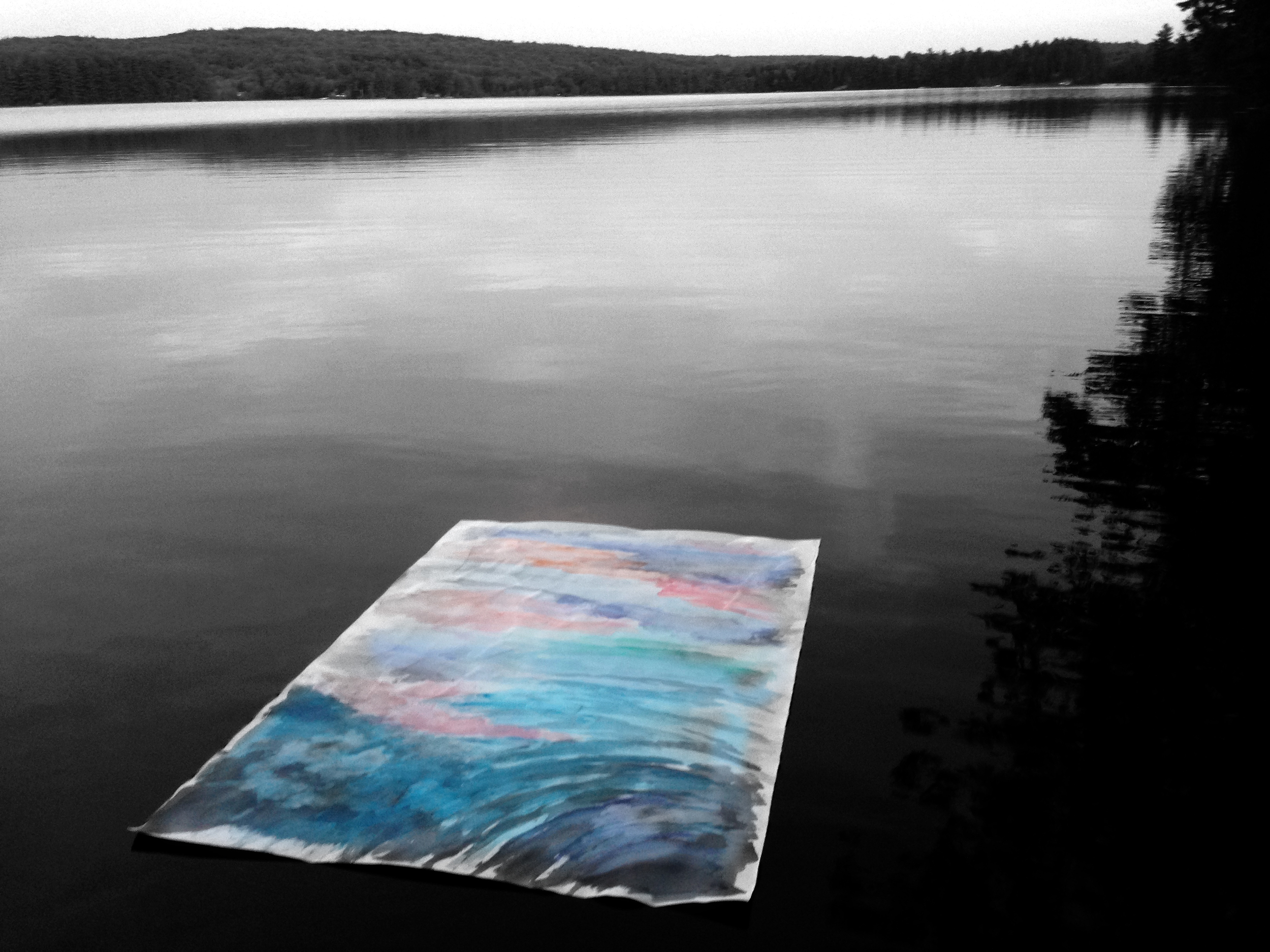 DFiedler_LakeFloatingPainting20151_bw.jpg