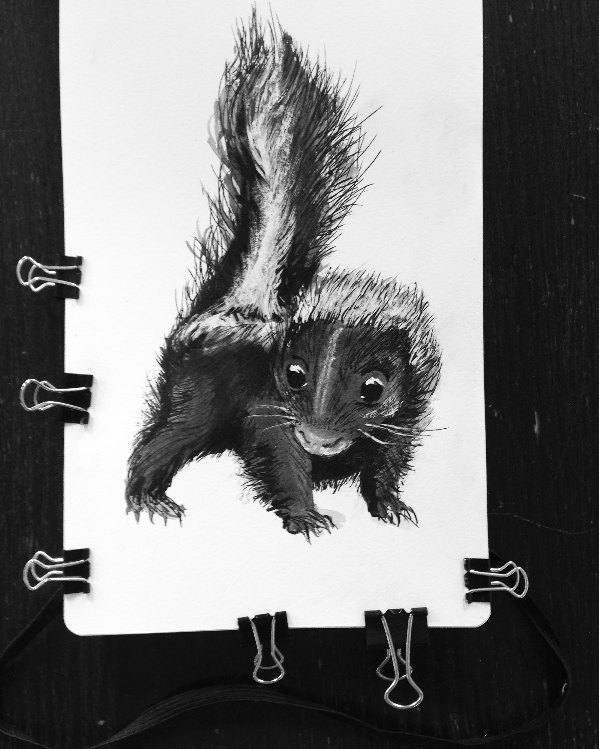 DFiedler_BabySkunkSketch.jpg