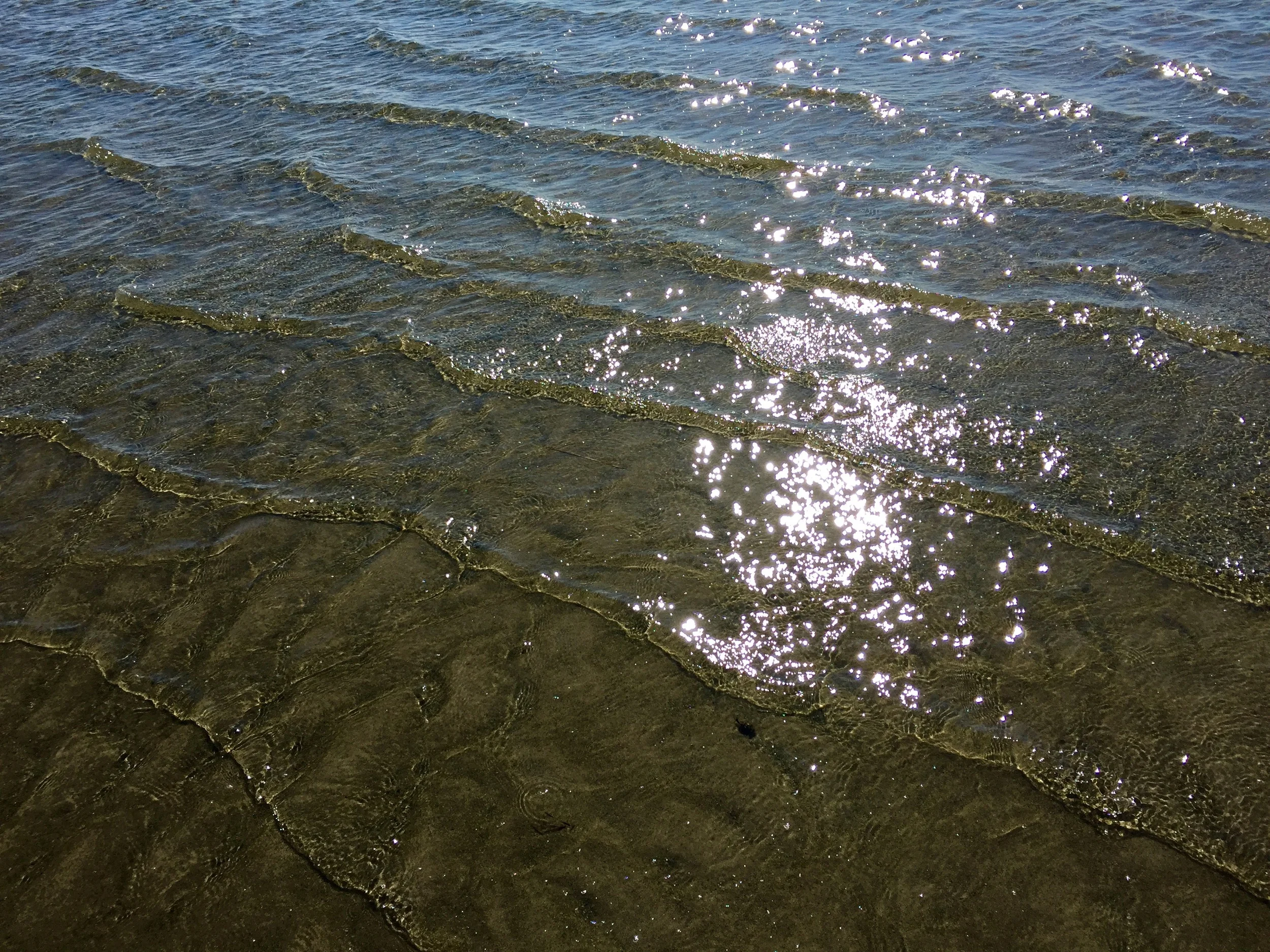 Water.jpg