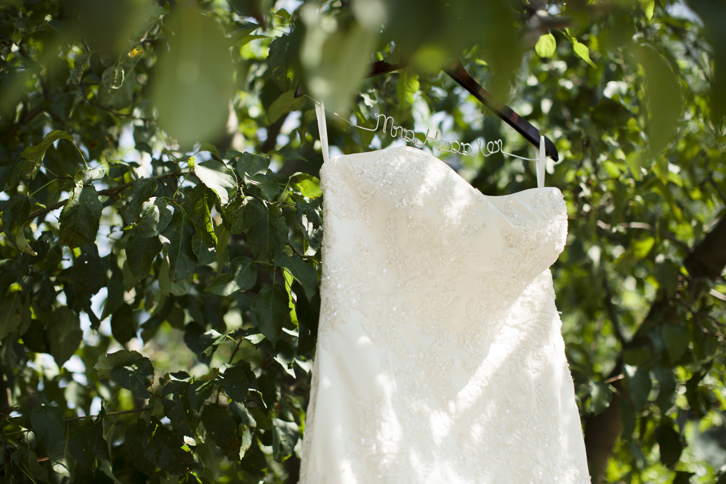 kristen-vance-hudson-gardens-summer-wedding-2017.jpg