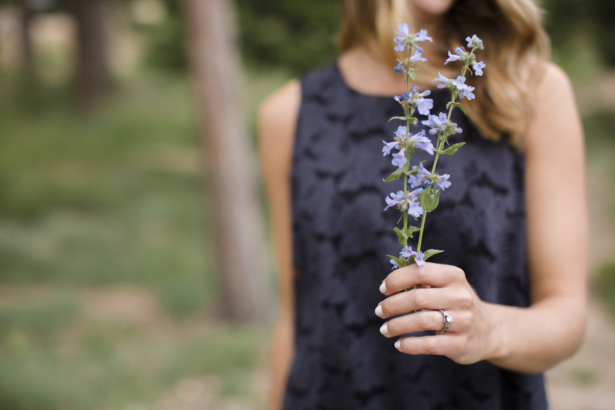 kristen-vance-2017-summer-lost-gulch-overlook-boulder-colorado-engagement-3.jpg