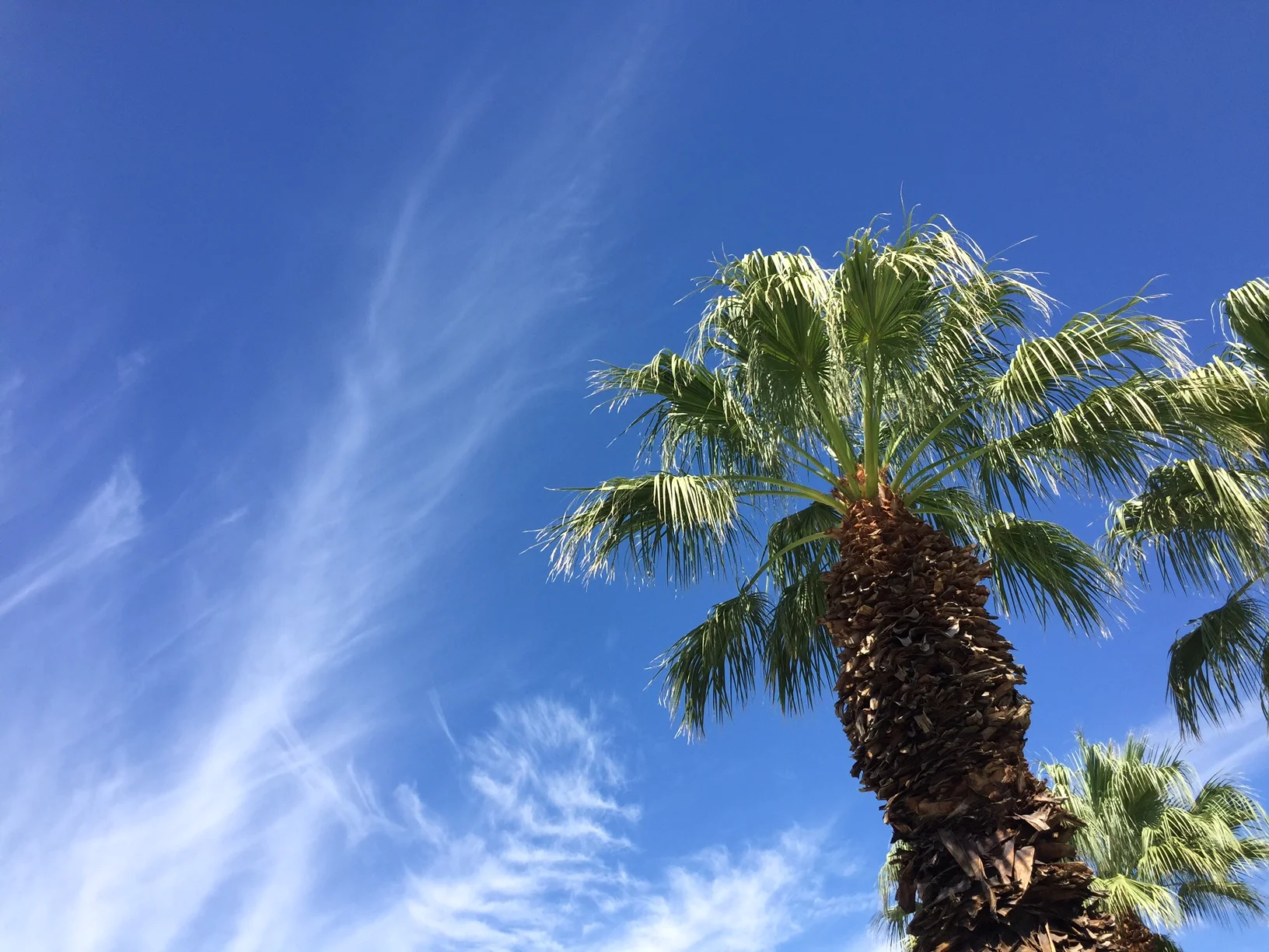 Cool, Hip + Trendy Travel Guide: Palm Springs