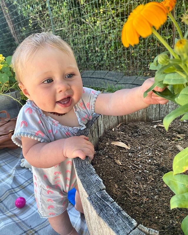 My little garden fairy!