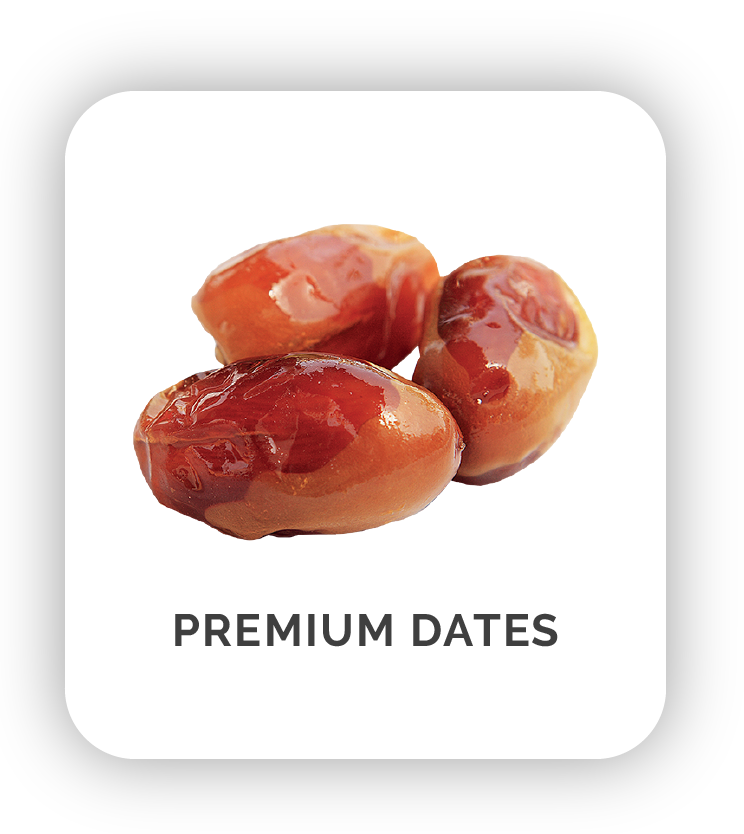Kosten only dates