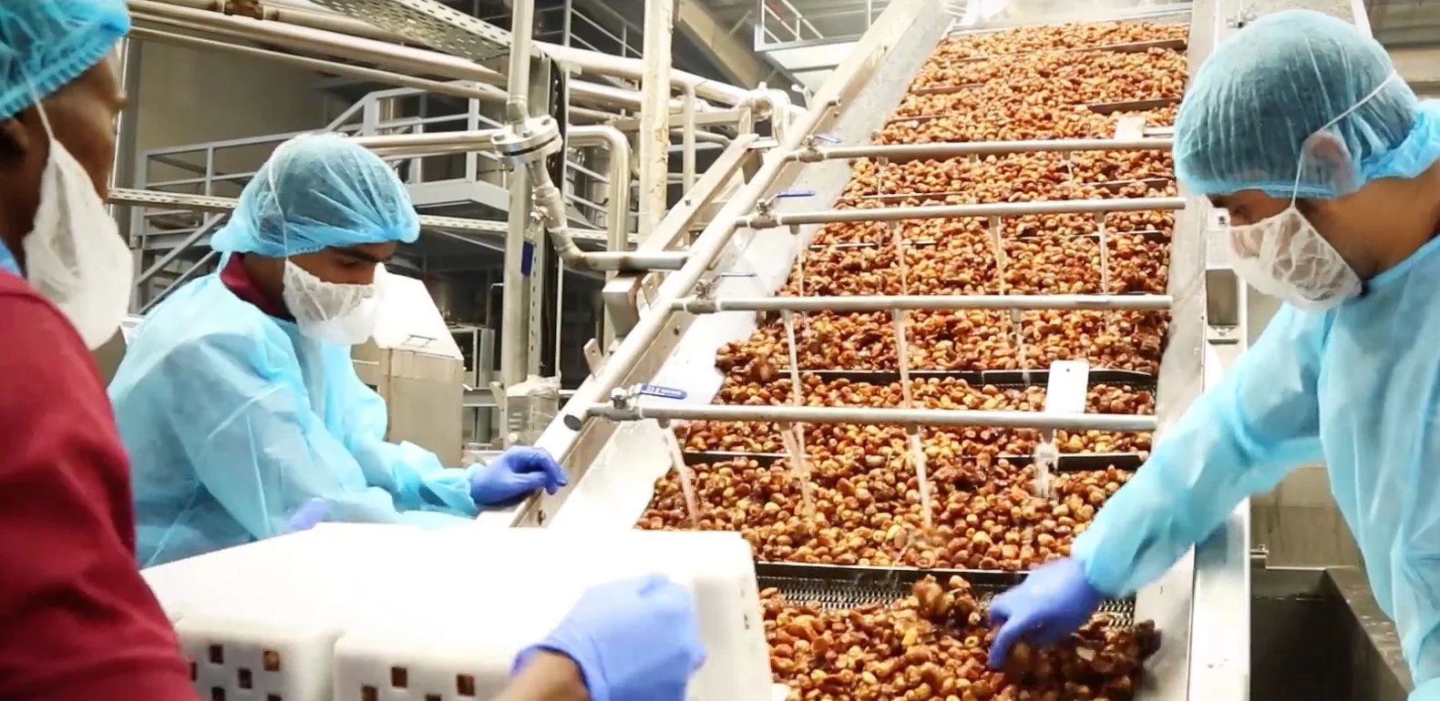 Factory Capabilities — Al Barakah Dates Factory