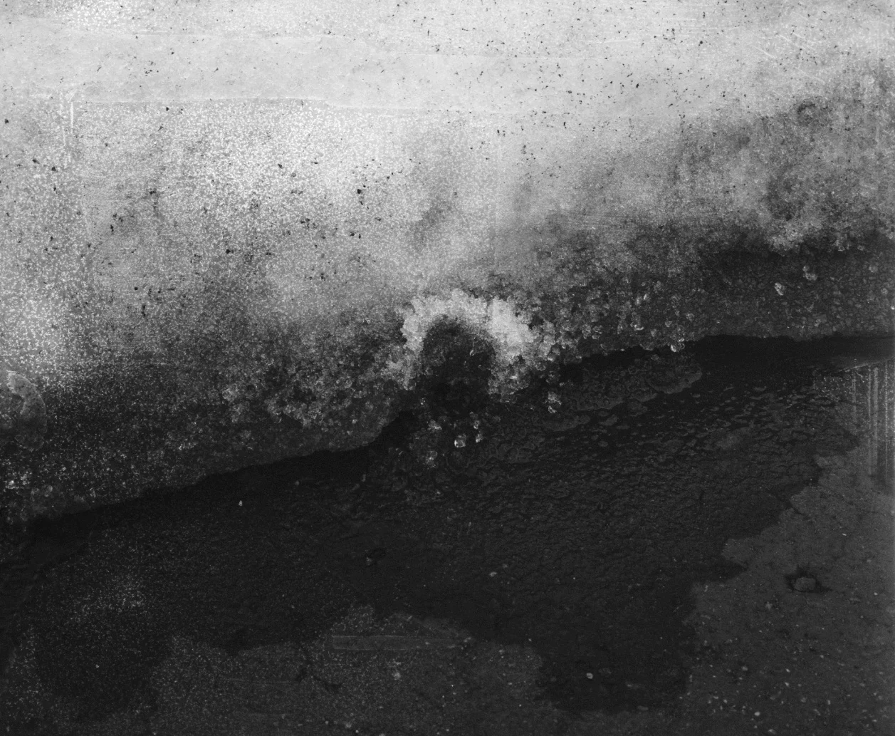 FILM_ 3.tiff copy.jpg