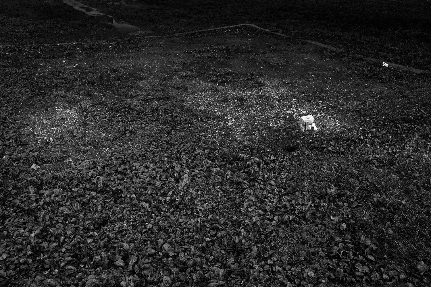 _ER_0059.jpg