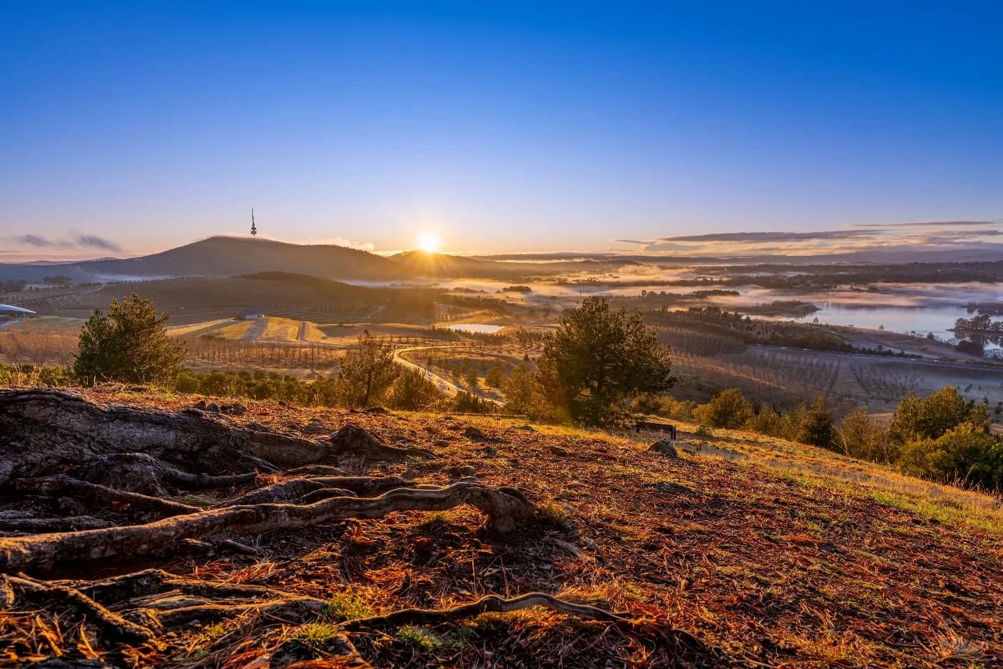 Enjoying the sunrise while on the way to work. Something I haven't been able to do a lot of this year. But never a bad way to start the day. 
@belle.shepherd  @andrewcampbellphotos 
#canberra #canberrasunrise #cbr #bright #warm #startingthedayright #