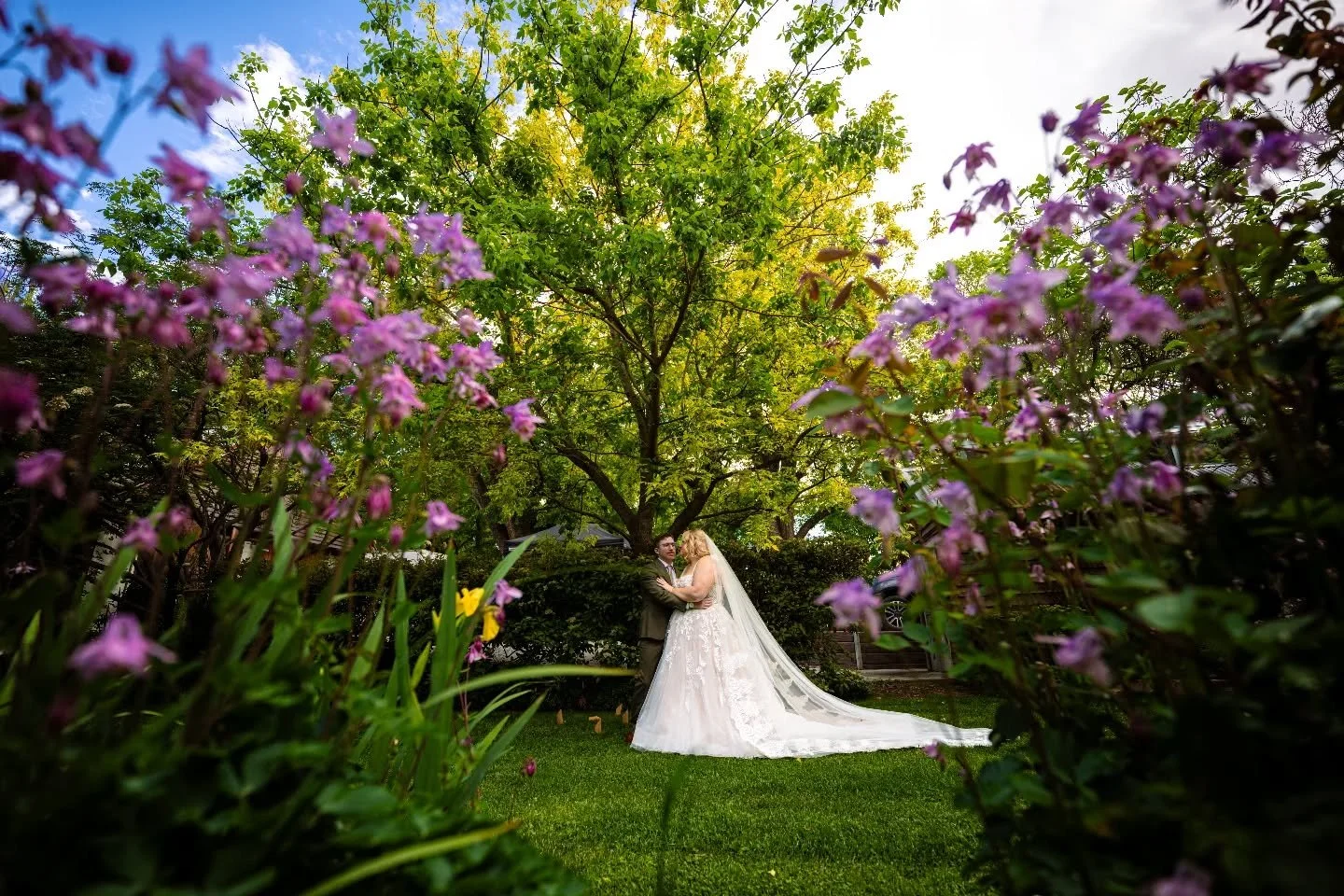 When love blossoms. 💐

Tegan &amp; Alex 💘 1.11.2025
#weddingdiaries #wedding #weddingphotography #bride #brideandgroom #groom #garden #outdoorwedding #colour #blossoms #love #gardenwedding #canberraweddingphotographer #canberraweddings