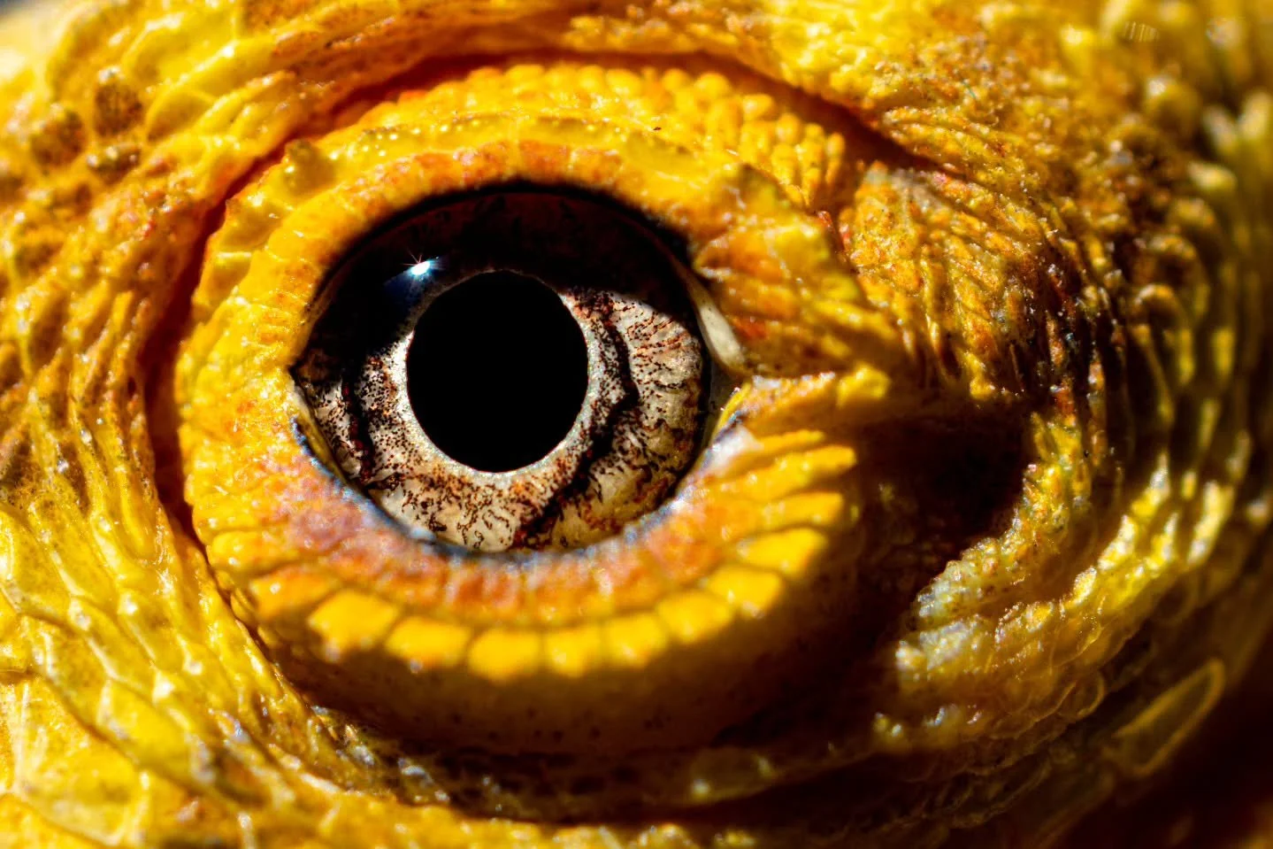 Looking through a crack in the door towards 2026...