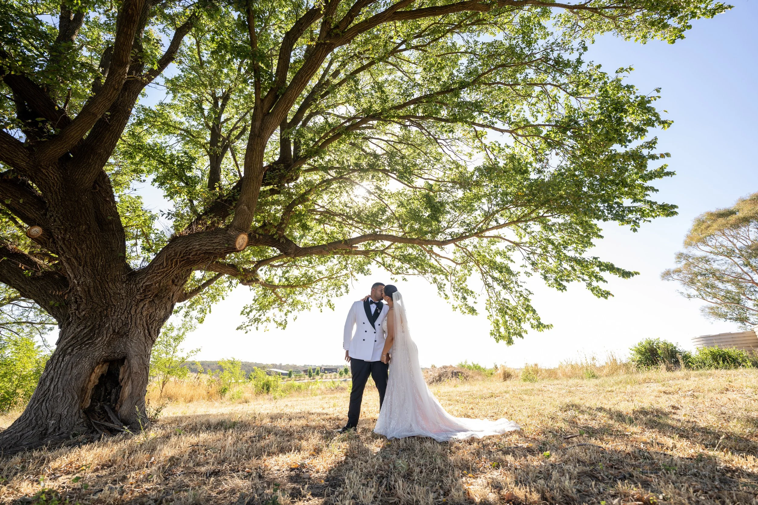 20260124_Aqeela & Dimitrio-680.jpg