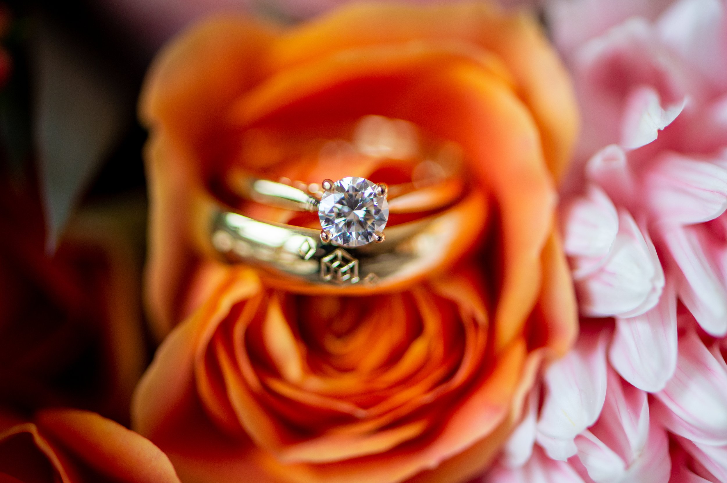 Sushan & David - 001.jpg