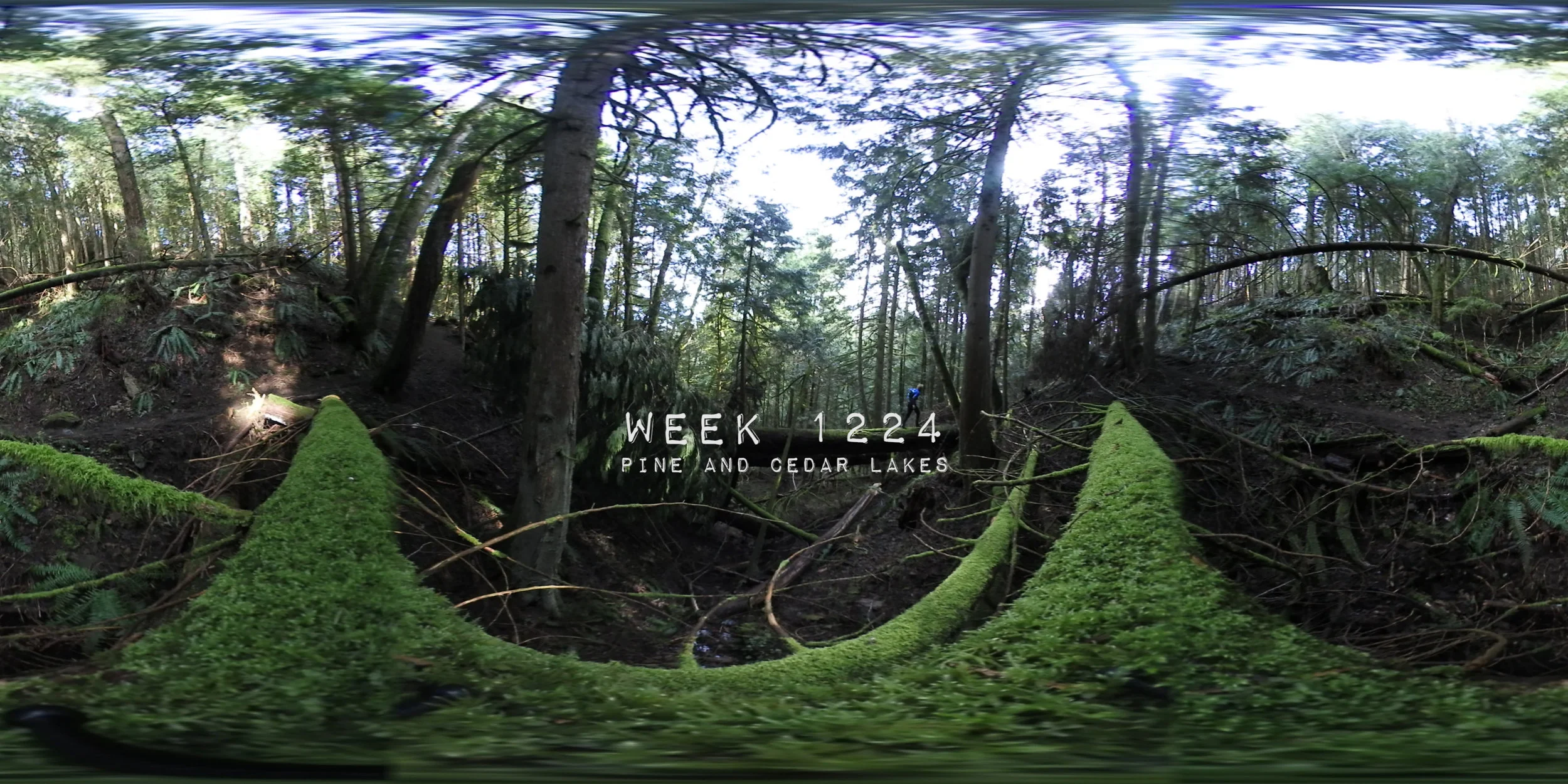 week 1224.5.jpg