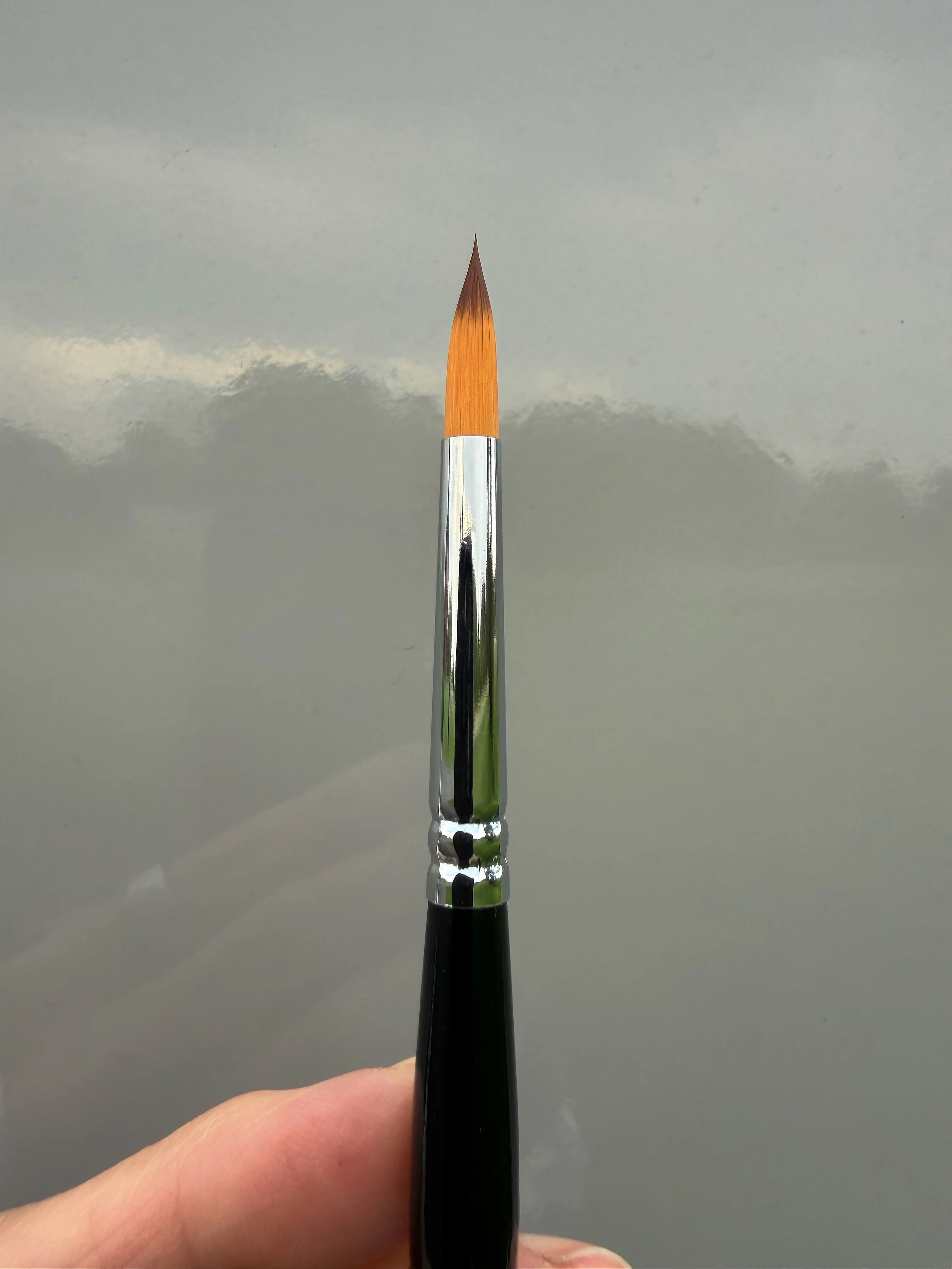 TB Size 8 Travel Brush 02.jpg