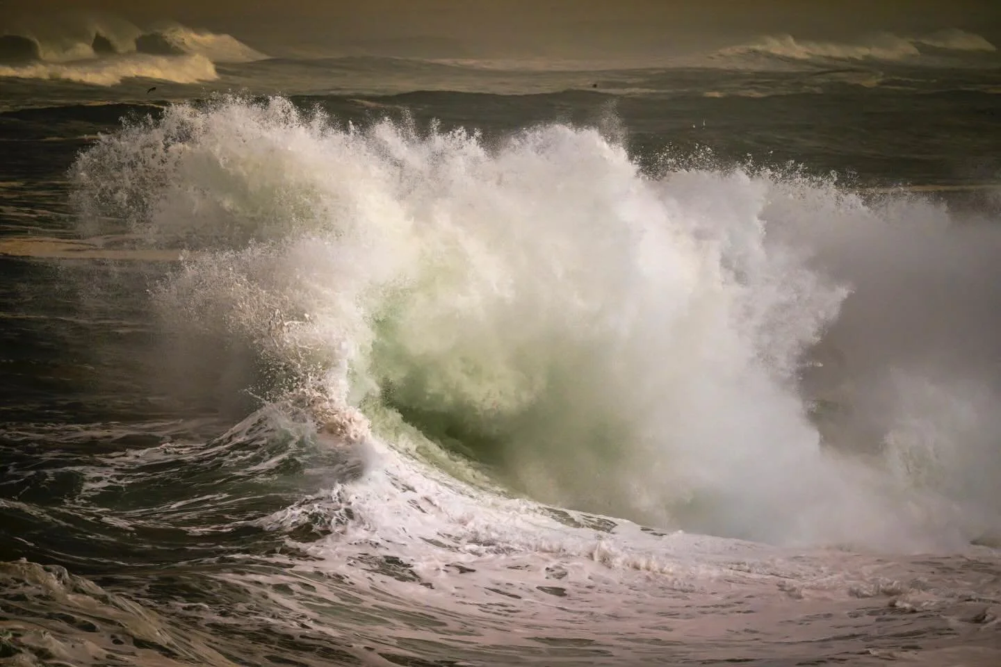 Warm, subtle hues of winter light steal a moment of majestic beauty.
Nature&rsquo;s gallery is open to those willing to attend&mdash;ready to illuminate the mind and soothe the soul.
Intoxicate your senses with these fleeting fractions of time.
Life 