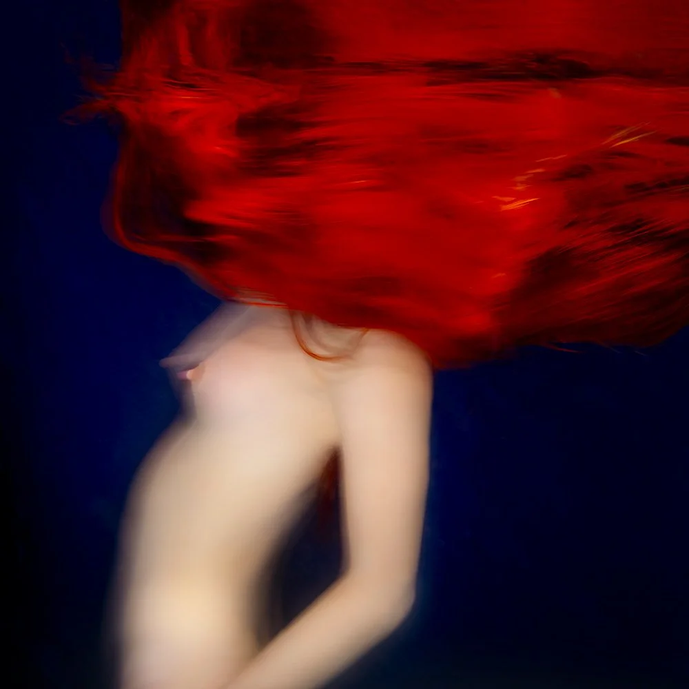 CRIMSON SIREN - VENUS #46