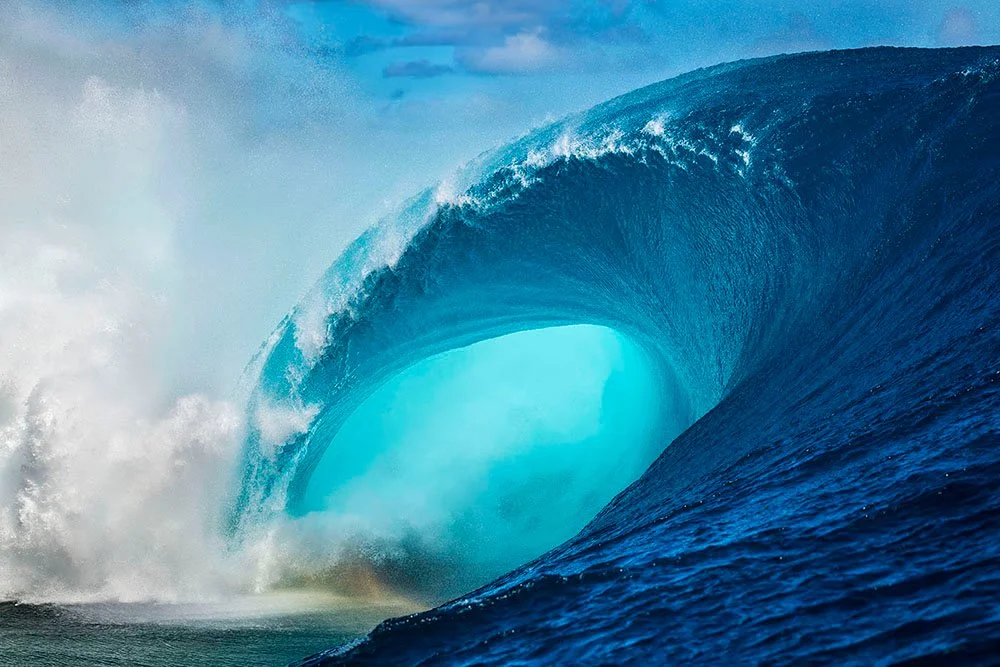 'REEF GRIND' WAVE #80