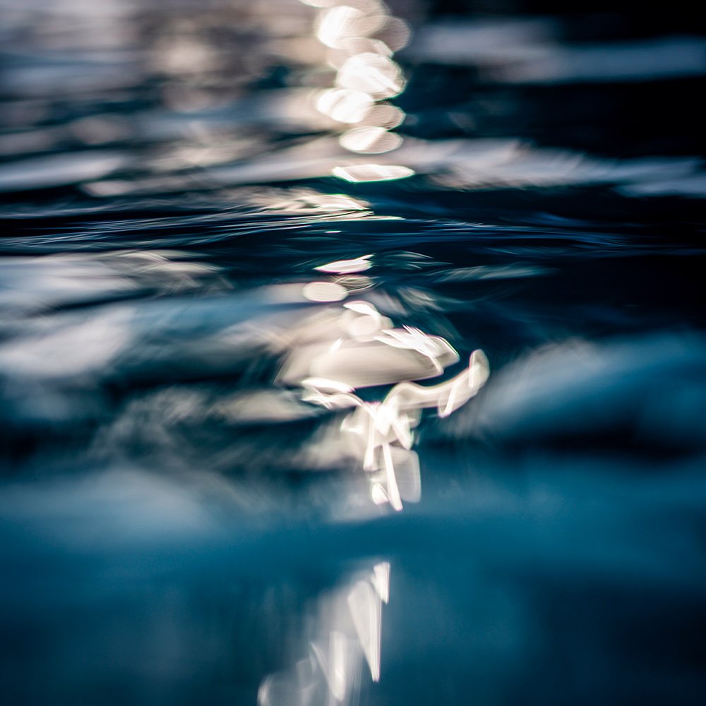 SEALEVEL #282