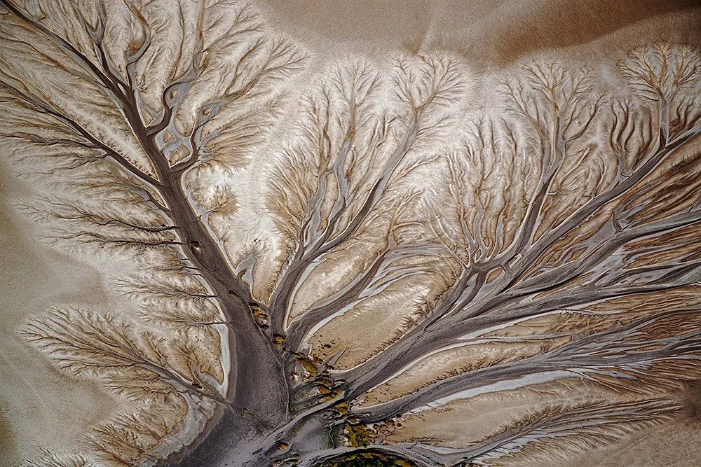 THE TREE OF LIFE - Kimberley Delta from above, Australian landscape.