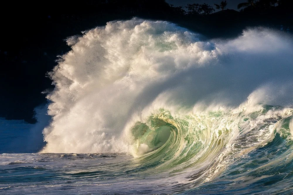 'MAJESTIC MOTION' WAVE #106