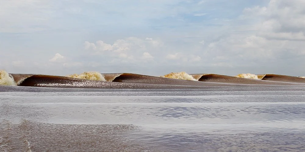 'SEVEN GHOSTS' WAVE #92