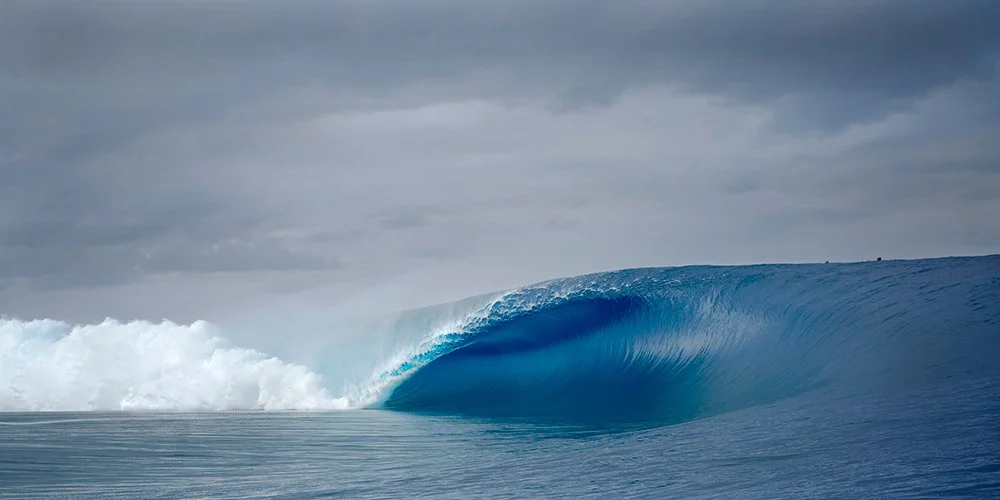 'TIMELESS PERFECTION' WAVE #8