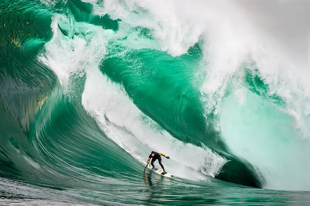 MIND OVER MONSTER - SURF #62