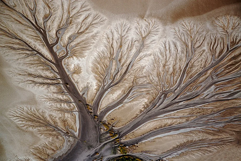 'TREE OF LIFE' TRAVEL #5