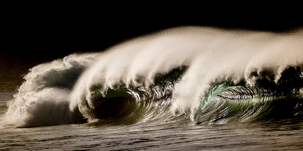 MEMORY & MOTION - WAVE #86