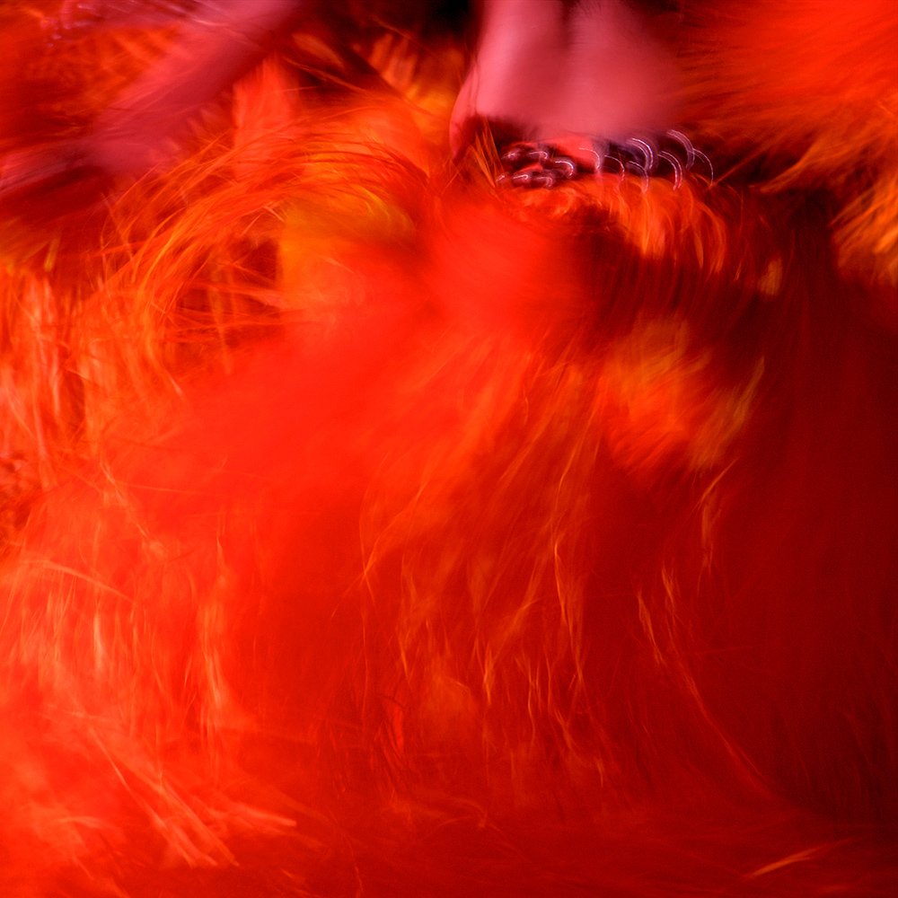 When the dance becomes FEVER, red movement of rhythm, like the fire of life that ignites deep within.