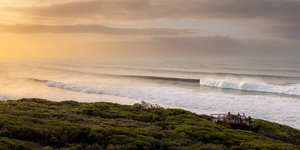 'WINKIPOP' WAVE #102