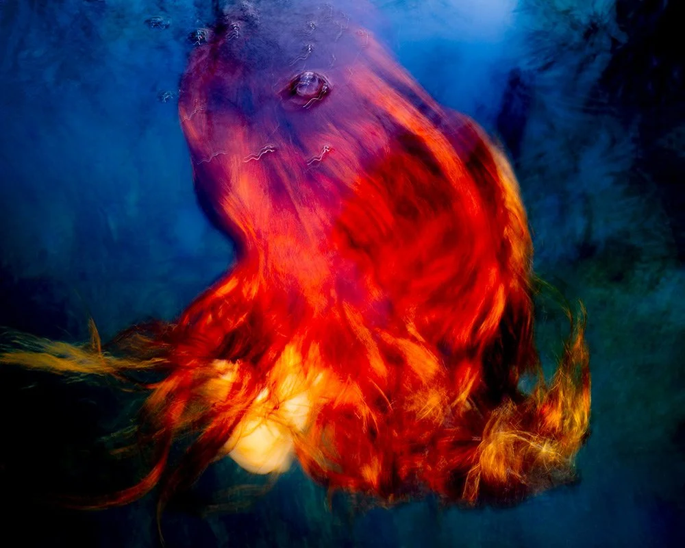 ECLIPSE OF EDEN - VENUS #62