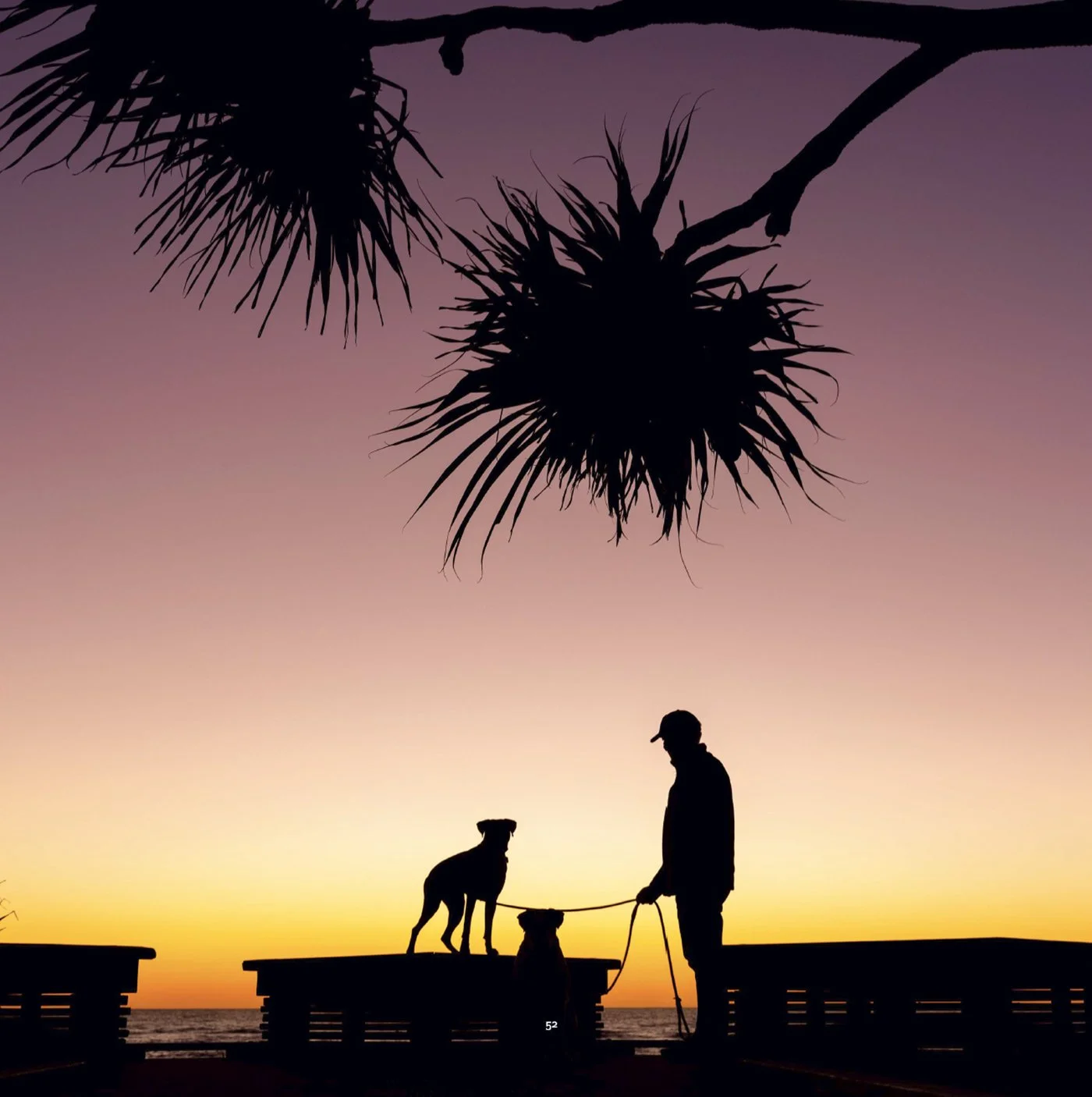 A silhouette of a man and his dogs set against Currumbin Beach from Ted Grambeau's new photography book Currumbin in Light.