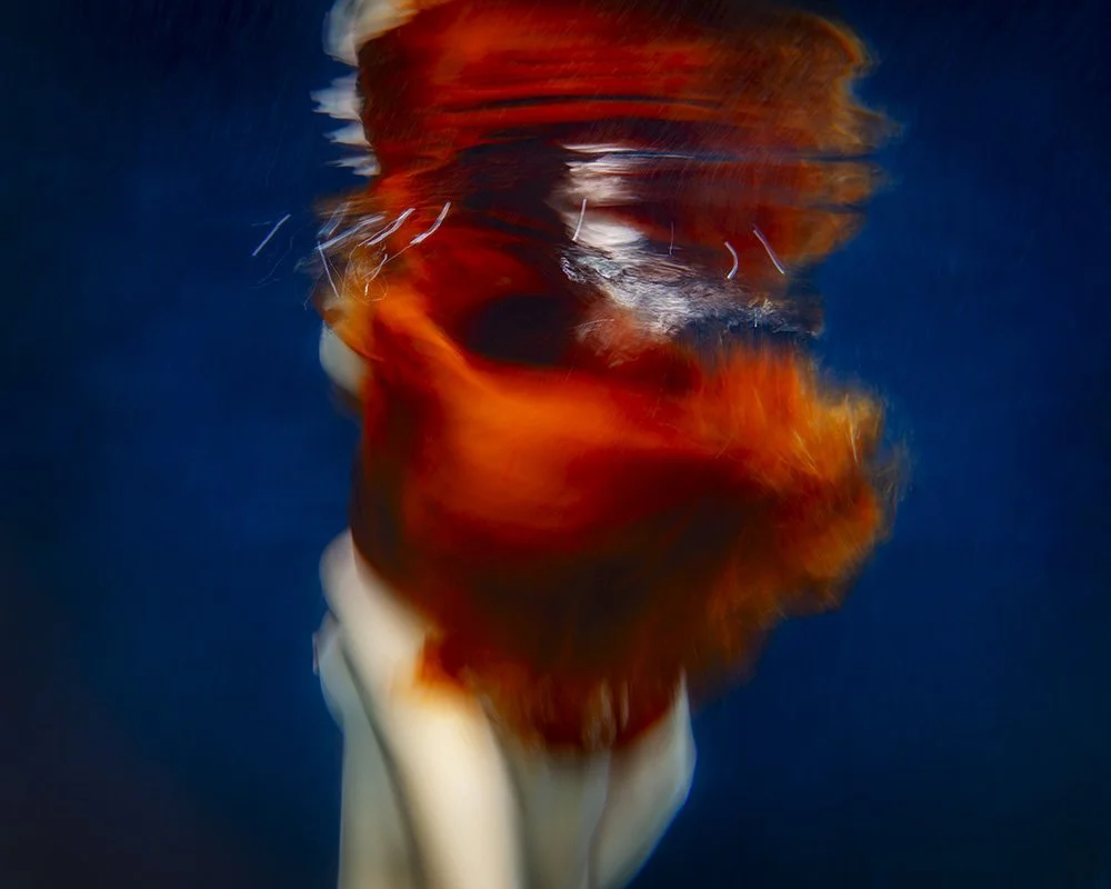 EMBER REFLECTIONS - VENUS #52