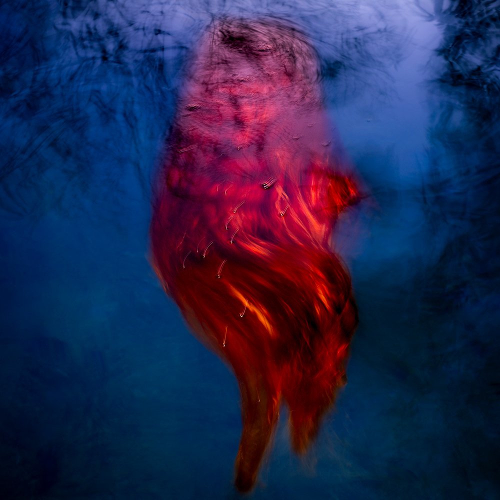 CRIMSON CASCADE - VENUS #66