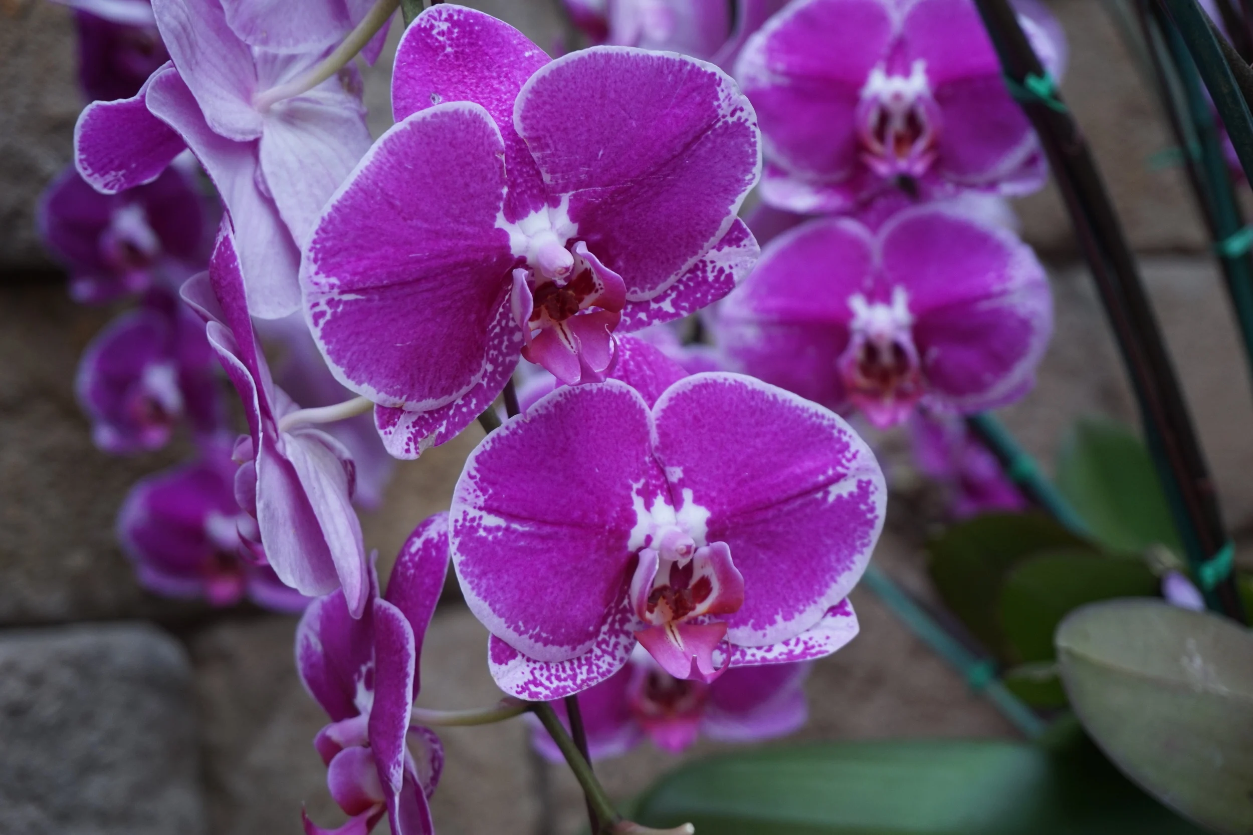 Moment Of Inspiration: Make Sure You Feel...