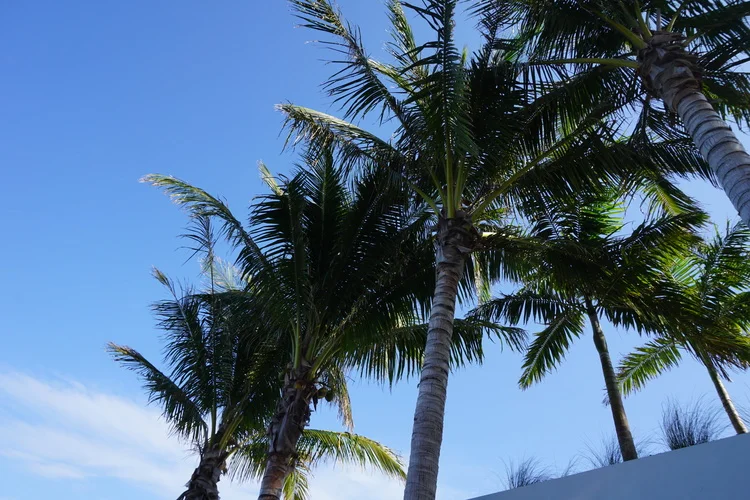 Sundown Meditation and #Yoga @1HotelSB 