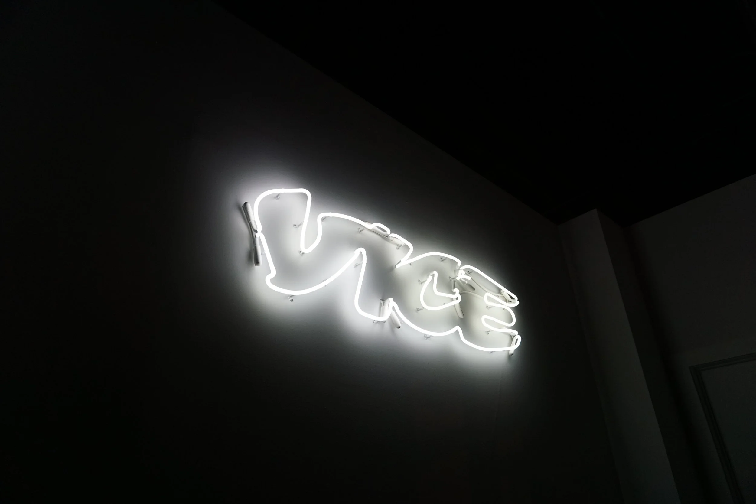 VICE PARTY MIAMI (& on the VICELAND BUS)