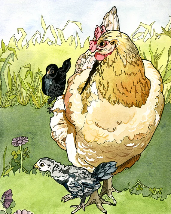 Chickens by Maria Oglesby.jpeg